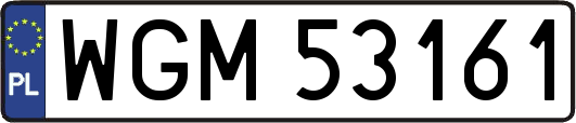 WGM53161