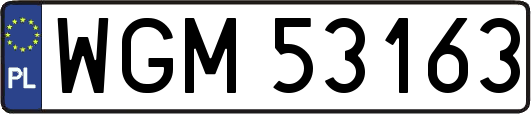 WGM53163
