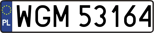 WGM53164