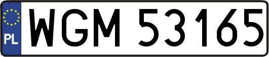 WGM53165
