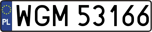 WGM53166