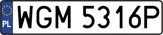 WGM5316P