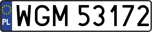 WGM53172