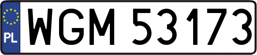 WGM53173