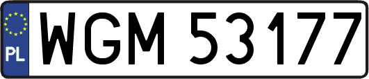 WGM53177