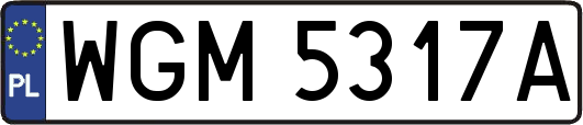 WGM5317A