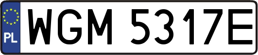 WGM5317E