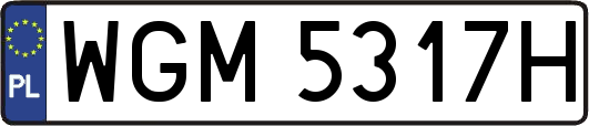 WGM5317H