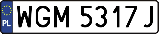 WGM5317J