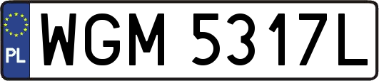 WGM5317L