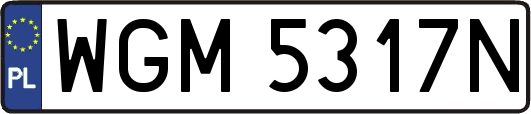 WGM5317N