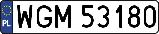 WGM53180