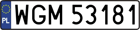 WGM53181