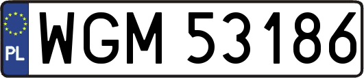 WGM53186
