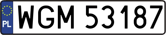 WGM53187