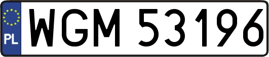 WGM53196