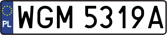WGM5319A