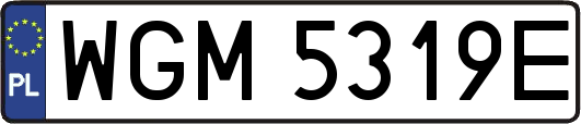 WGM5319E