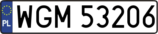 WGM53206