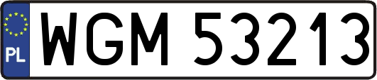 WGM53213