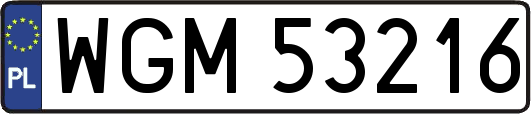 WGM53216
