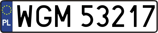 WGM53217