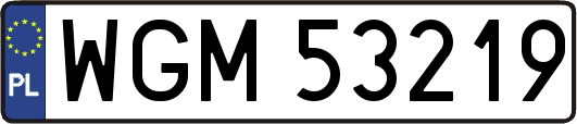 WGM53219