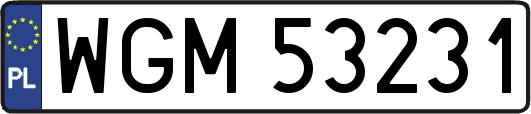 WGM53231