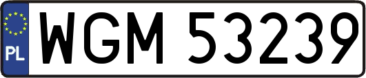 WGM53239