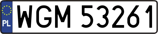 WGM53261