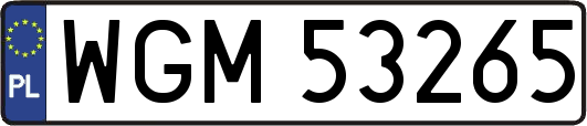 WGM53265
