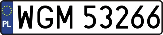 WGM53266