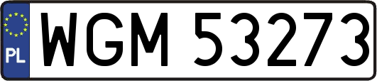 WGM53273