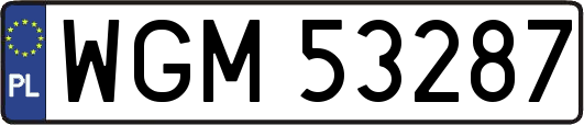 WGM53287