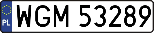 WGM53289