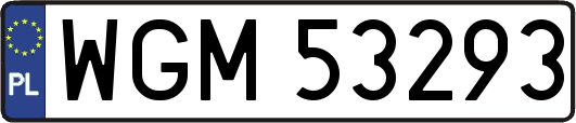 WGM53293