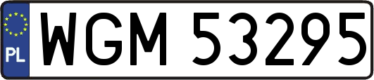 WGM53295