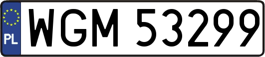 WGM53299