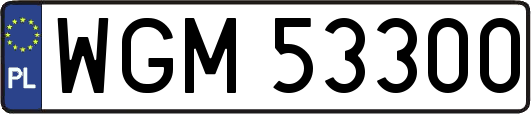 WGM53300