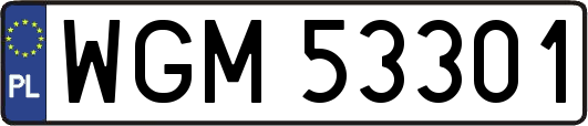 WGM53301