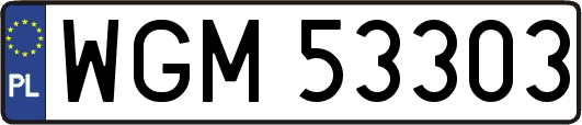 WGM53303
