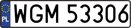 WGM53306