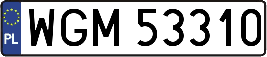 WGM53310
