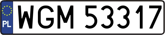 WGM53317