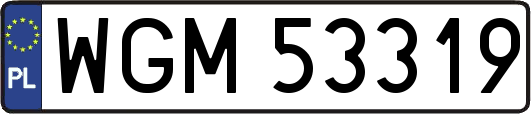 WGM53319