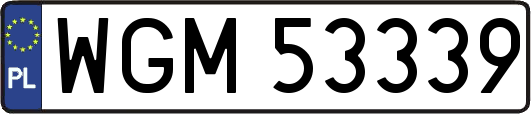WGM53339