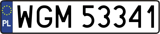 WGM53341