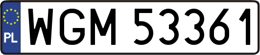 WGM53361