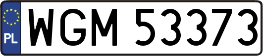 WGM53373