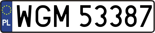 WGM53387